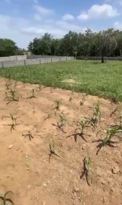1,028sqm, Residential, C of O, Tarred Road, After Paradise 1, Life Camp, Abuja, Residential Land for Sale