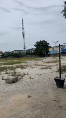4000sqm Commercial Bareland, Ligali Ayorinde, Victoria Island (vi), Lagos, Commercial Property for Rent