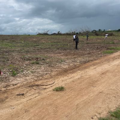 Affordable Plots of Mixed-use Land, Novaro Hills, Ido, Ido, Oyo, Mixed-use Land for Sale