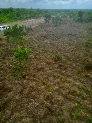 Own Farmland That Brings You Passive Income, Off Funaab, Alabata Road, Odeda, Ogun, Mixed-use Land for Sale