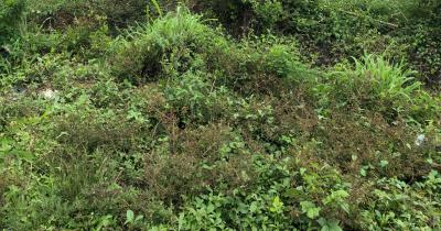 1740 Sqm of Land, Alausa, Ikeja, Lagos, Land for Sale