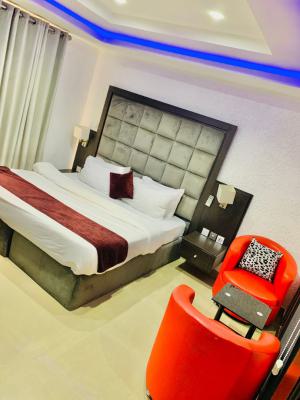 Fully Furnished One Bedroom Apartment (8 Months Lease), Victoria Island (vi), Lagos, Mini Flat (room and Parlour) for Rent