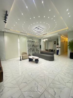 Fully Furnished 2 Bedroom Apartment, Gbangbala, Ikate, Lekki, Lagos, Flat / Apartment for Rent