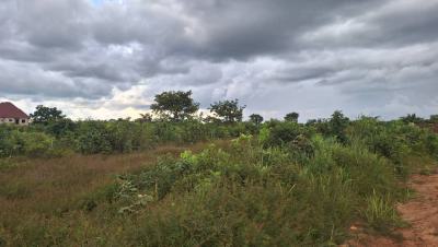 Plots of Land, Ike Oha Layout, Enugu, Enugu, Residential Land for Sale