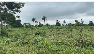 Most Affordable Dry Land with a Registered Survey, Ikorodu Ibefun Road, Epe, Lagos, Mixed-use Land for Sale