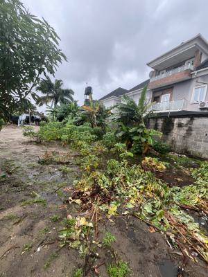 Beautiful Dry Land Located in a Serene Estate Fenced and Gated, Abraham Adesanya Scheme 2, Ajah, Lagos, Land for Sale