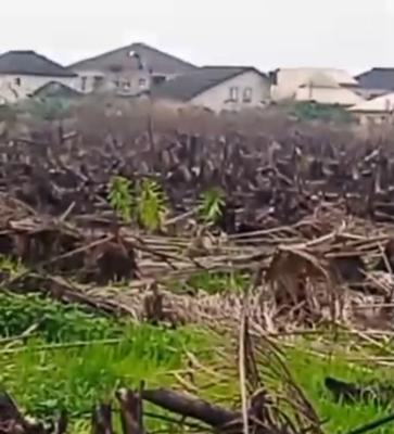 10 Acres of Land, Olotun Village Behind Rock Old Auditorium, Simawa, Ogun, Residential Land for Sale