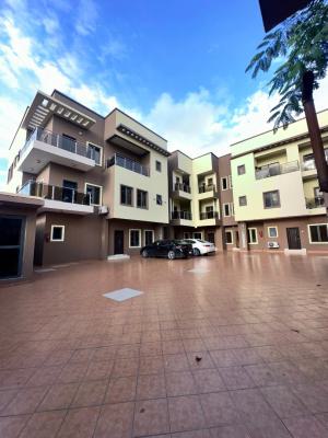 Cozy 1 Bedroom Apartment, Lekki Phase 1, Lekki, Lagos, Mini Flat (room and Parlour) for Rent