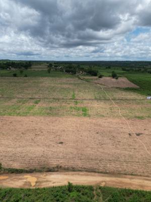 Earn 10 Million Naira Annually From Cocoa, Abeokuta South, Ogun, Industrial Land for Sale