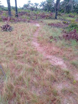 Premium Affordable Dry Land, Bethel Gardens, Folu Ise, Ibeju Lekki, Lagos, Land for Sale