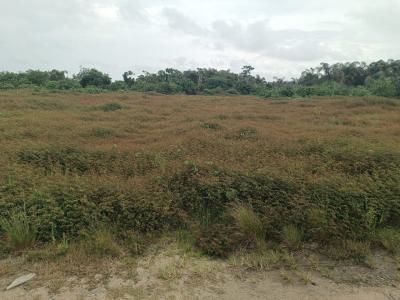 1800 Sqm with Cofo Dryland, Ajayi Apata New Town, Sangotedo, Ajah, Lagos, Land for Sale