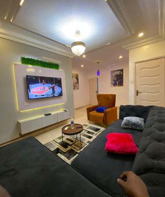 Luxury Mini Flat with 24 Hours Uninterrupted Power Supply, Sangotedo, Ajah, Lagos, Mini Flat (room and Parlour) Short Let