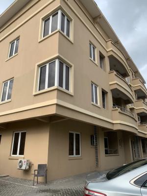 3 Bedroom Apartments with a Bq, Lekki Phase 1, Lekki, Lagos, Flat / Apartment for Rent