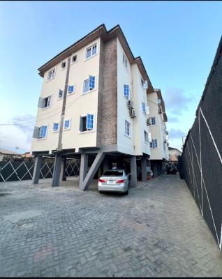 Newly Renovated 2 Bedroom Apartment, Igbo Efon, Lekki, Lagos, Flat / Apartment for Sale