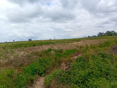 Amac Rofo at Aviation Village Airport, Nimet, Kyami, Abuja, Residential Land for Sale