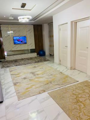 Partly Furnished & Serviced 2 Bedroom Apartment, Horizon Estate 2 Ext., Ikate Elegushi, Lekki, Lagos, Flat / Apartment for Rent