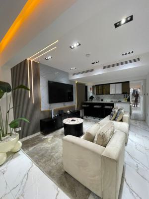 Nicely Furnished 2 Bedroom Apartment, Lekki Phase 1, Lekki, Lagos, Flat / Apartment Short Let