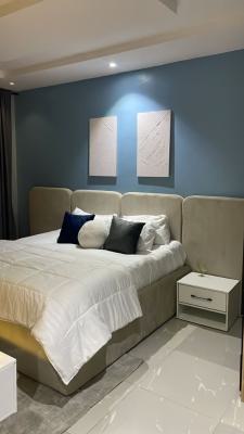 Nicely Furnished 3 Bedroom Apartment, Ikate, Lekki, Lagos, Flat / Apartment Short Let
