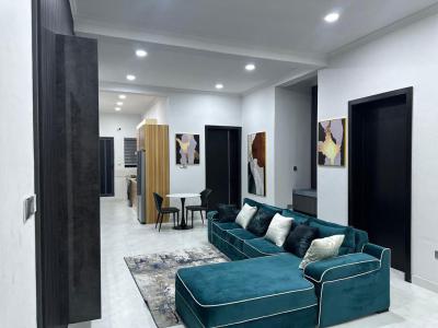 Nicely Furnished 2 Bedroom Apartment, Ikate, Lekki, Lagos, Flat / Apartment Short Let
