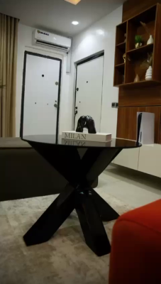 Nicely Furnished 2 Bedrooms Apartment, Ikate, Lekki, Lagos, Flat / Apartment Short Let