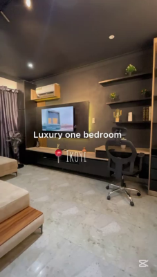 Nicely Furnished 1 Bedroom Apartment, Ikoyi, Lagos, Flat / Apartment Short Let