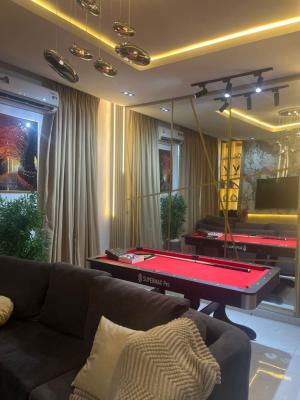 Nicely Furnished 2 Bedrooms Apartment, Chevron, Lekki, Lagos, Flat / Apartment Short Let