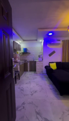 Nicely Furnished 2 Bedroom Apartment, Surulere, Lagos, Flat / Apartment Short Let
