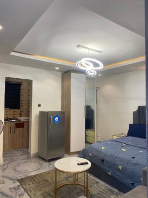 Nicely Furnished Studio Apartment, Onike, Yaba, Lagos, Flat / Apartment Short Let