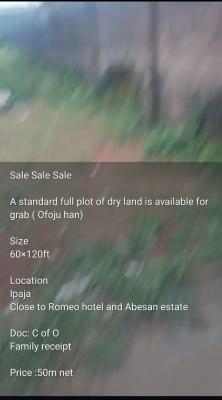 a Standard Full Plot of Dry Land 60 By 120ft, Romeo Hotel Street, Ipaja, Lagos, Mixed-use Land for Sale