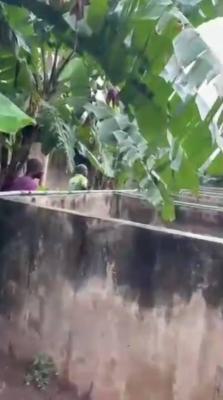 44 Chambers Fish Pond Sitting on a 1,500sqm of Land, Jolasco Via Lamber Tipper Garage, Akute, Ifo, Ogun, Commercial Land for Sale