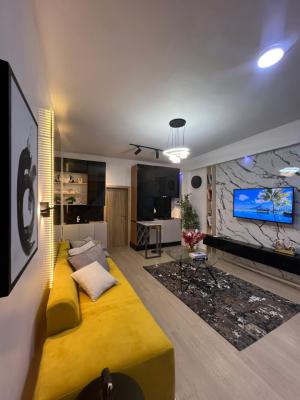 Nicely Furnished 1 Bedroom Apartment, Chevron, Lekki, Lagos, Flat / Apartment Short Let