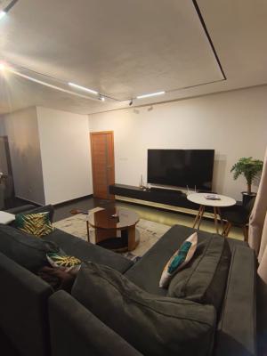 Semi Furnished 2 Bedroom Apartment, Megamound Estate Lekki County Ikota, Ikota, Lekki, Lagos, Flat / Apartment for Rent