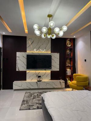 Nicely Furnished Studio Apartment, Ikate, Lekki, Lagos, Flat / Apartment Short Let