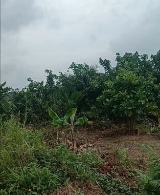 a Full Plot of Land, Oreyo, Ikorodu, Lagos, Residential Land for Sale