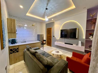 Nicely Furnished 1 Bedroom Apartment, Chevron, Lekki, Lagos, Flat / Apartment Short Let
