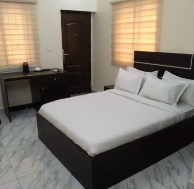 Very Neat Furnished 4 Bedroom Terrace Duplex, Wuye, Abuja, Terraced Duplex for Rent