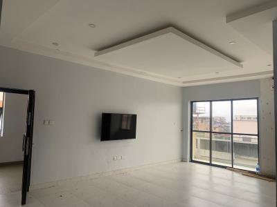 Luxurious Spacious 2bedroom Apartment with Excellent Finishing, Ikate Lekki, Ikate Elegushi, Lekki, Lagos, Flat / Apartment for Rent