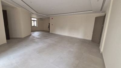 Newly Renovated Flats, Old Ikoyi, Ikoyi, Lagos, Flat / Apartment for Rent