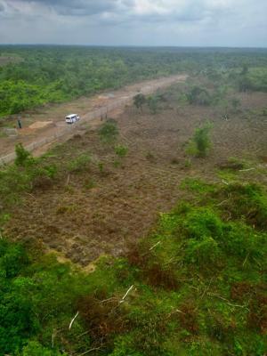 Own Productive Farmland with Flexible Payment Options, Off Funaab, Alabata Road, Abeokuta, Odeda, Ogun, Mixed-use Land for Sale