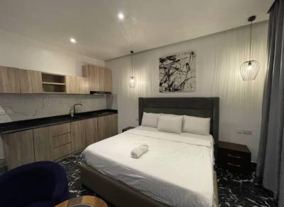 Furnished Studio Apartment with Fitted Kitchen, Ikate, Lekki, Lagos, Flat / Apartment for Rent