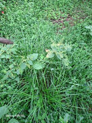 Residential Land, Gwarinpa Estate, Gwarinpa, Abuja, Residential Land for Sale