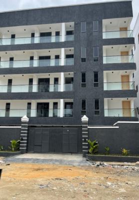 New 2 Bedrooms Apartment with Elevator, Chisco, Ikate, Lekki, Lagos, Flat / Apartment for Rent