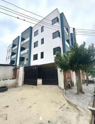 Clean and Spacious 2 Bedroom Apartment, Ikate, Lekki, Lagos, Flat / Apartment for Rent