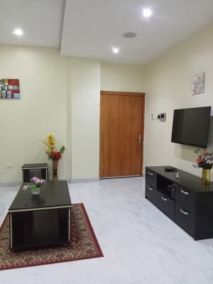 Fully Furnished  and Serviced 1 Bedroom Apartment, Lekki, Lagos, Mini Flat (room and Parlour) for Rent