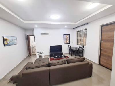 a Well Maintained Spacious Fully Furnished 2 Bedroom Flat, Victoria Island (vi), Lagos, Flat / Apartment for Rent