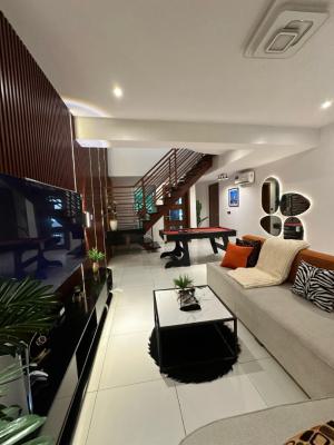 Nicely Furnished 2 Bedrooms Apartment, Ikate, Lekki, Lagos, Flat / Apartment Short Let