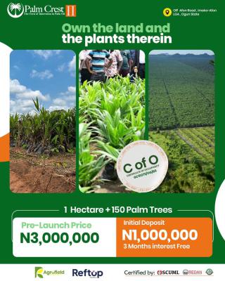 Secure Your Palm Crest Acre Today + Free 60 Palm Tree  Giveaway, Imeko Afon Lga, Ogun State, Imeko Afon, Ogun, Mixed-use Land for Sale