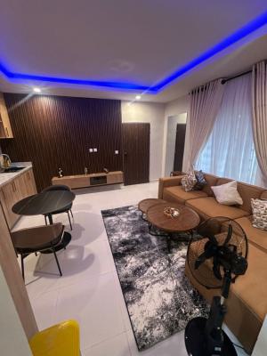 Elegant and Exclusive 1bedroom Apartment, Olu Akinbola Avenue, Igbo Efon, Lekki, Lagos, Mini Flat (room and Parlour) Short Let