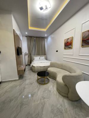 Spacious Studio Apartment with Elevator, Open Roof Bar and Lounge, G.r.a., Ikota, Lekki, Lagos, Flat / Apartment Short Let