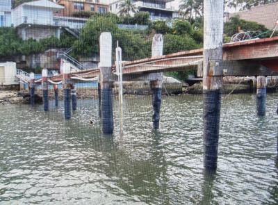 Waterfront Jetty and Land of 1906sqm  +10 Bedroom Detached House, Creek Road, Apapa, Lagos, Detached Duplex for Sale